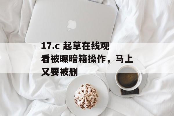 17.c 起草在线观看被曝暗箱操作，马上又要被删